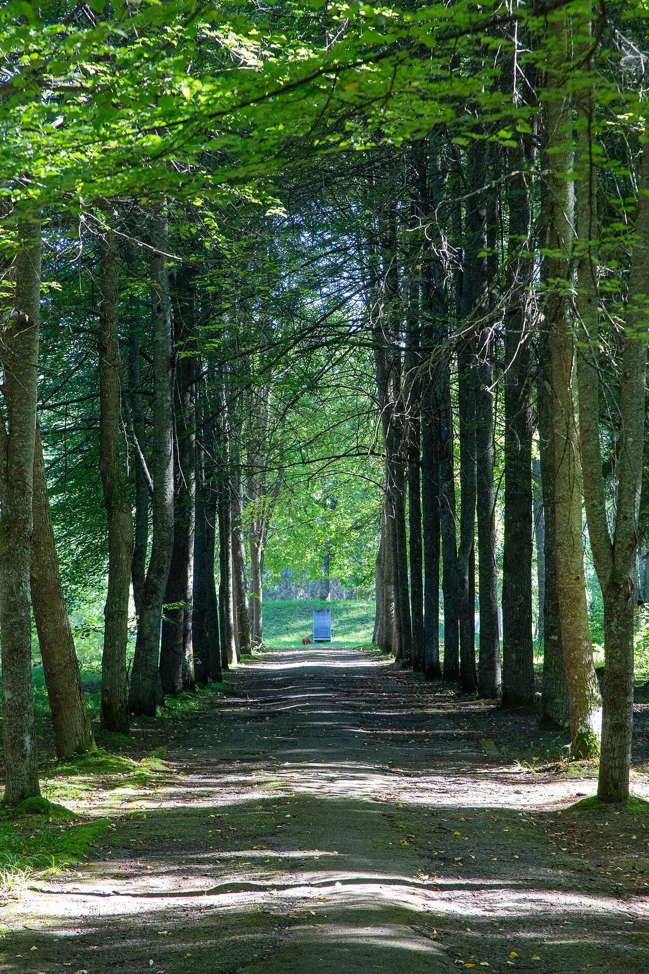 Toegangsweg naar de grensdriehoek Belarus-Letland-Rusland, gezien vanuit Letland.