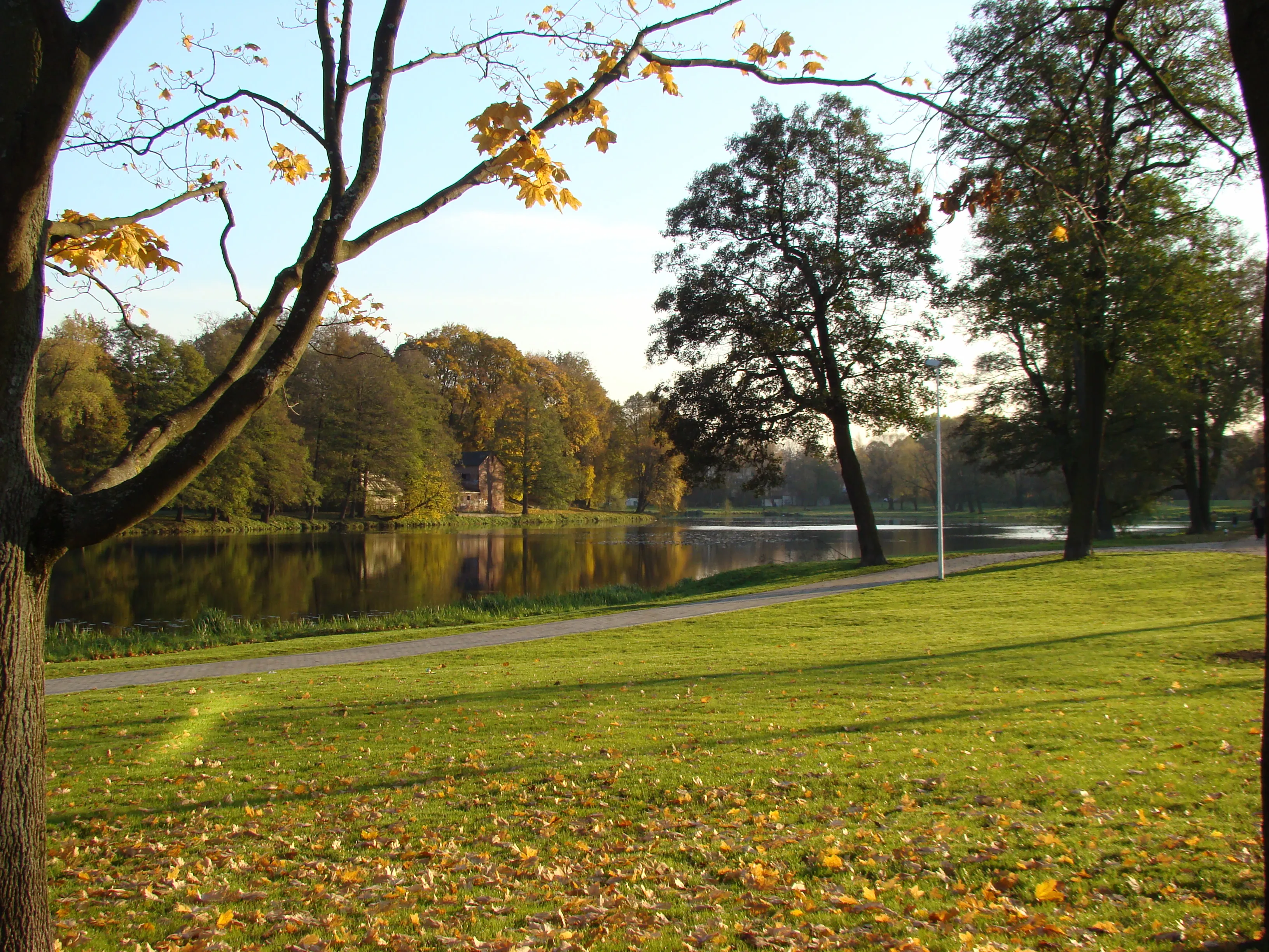 Een herfstpark in Riga met goudkleurige bomen langs een rustige vijver, een beeld van zacht, winderig oktoberweer.